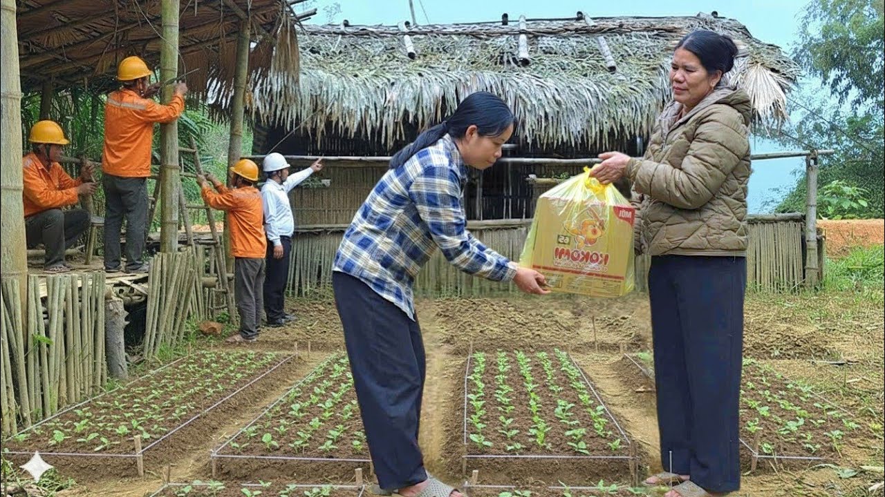 Wealthy CEO and Kind Woman Help Single Mother Renovate an Abandoned Forest House into Dream Home.