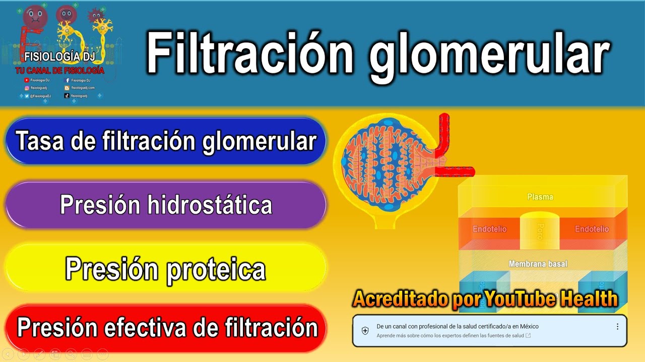 Como mejorar el filtrado glomerular