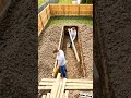 Underground Bunker Build Timelapse | Secret Backyard Transformation