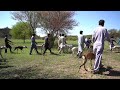 New soor ka shikar 2024  hunting of wild boar with dogs  best hunting explorepotohar