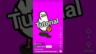 Duck Walking Tutorial YouTube #effect #filter