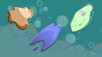 Exploration Clean: The Science of Soap