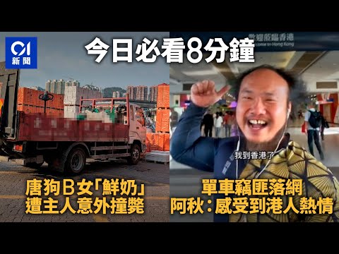 #今日新聞 香港｜荃灣裝卸區狗主撞斃小狗｜警拘45歲男涉偷單車 潮汕阿秋：港人熱情認真｜鄧燕娥准保釋｜HongKong News｜3月11日香港新聞