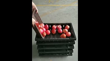 Supermarket Market Available Fruit Vegetable Folding Plastic Storage Basket