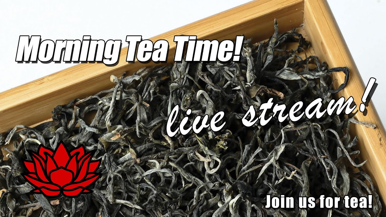 Morning Tea Time YouTube Morning tea time youtube