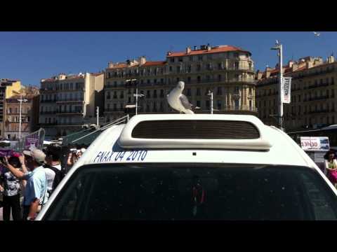 Video: Genopbygning Af Den Gamle Havn I Marseille: 