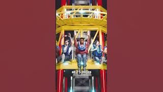 The Tragic Fall At ICON Park 😢