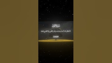 سورة الطور|29|القارئ:#محمد_اللحيدان #قران #quran #راحة_نفسية #قران_كريم #تلاوة_هادئة#آية#تلاوة_خاشعة