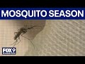 Mosquito forecast: Control efforts underway after record West Nile Virus year