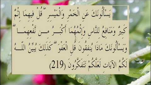 القران الكريم سورة البقرة الاية  219