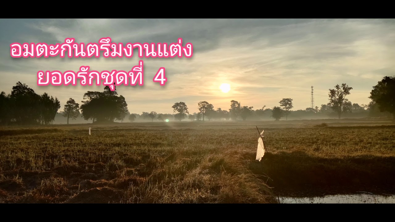 กันตรึมงานแต่ง ยอดรัก โคกนาสาม