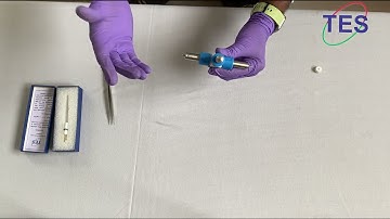 The Electrode Store - Three Electrode Swagelok Cell Type (with Reference Electrode)