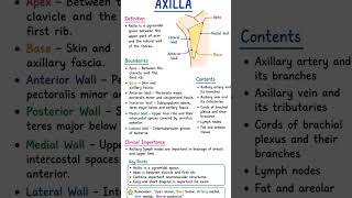 Axilla with easy diagram notes✍️#shorts #medical #anatomy