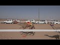 ش30قعدان مفاريد مشتاق ل حمود سليم البلوي ش30قعدان مفاريد مشتاق ل حمود سليم البلوي
