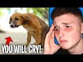 The SADDEST VIDEOS On The ENTIRE INTERNET! (You Will Cry)