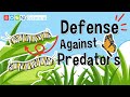 Animal Defense Mechanisms and Adaptations