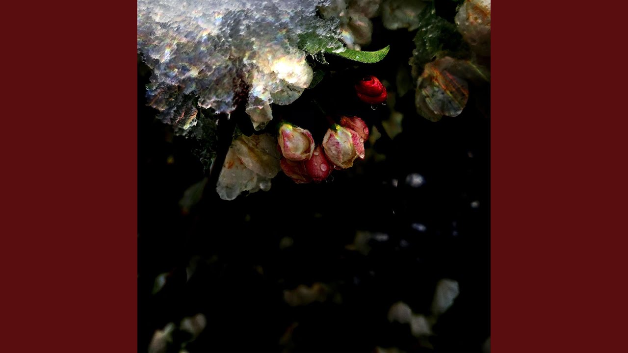Watch Crystalline on YouTube