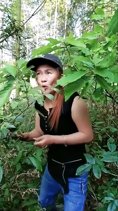 masteran burung viral kocak bikin ngakak hiburan warga 62 funnyvideos