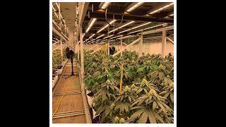 Multi Layer Grow Table