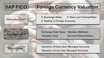 Exchange Rates in SAP FX Program