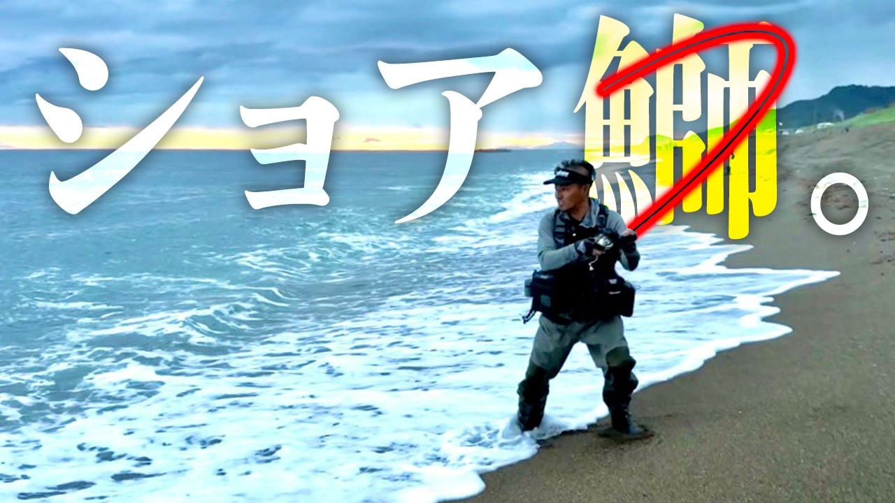 サーフトライブ | Salt | Jackson