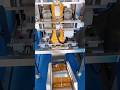 New Model Packing Machine #machine #packingmachineoperator8789 #factory