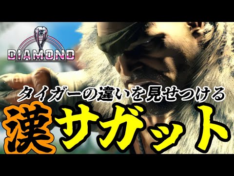 【スト６】思ったより弱いかもしれないけど俺はお前と心中するランクマッチ🌸有識者募集【Vtuber】