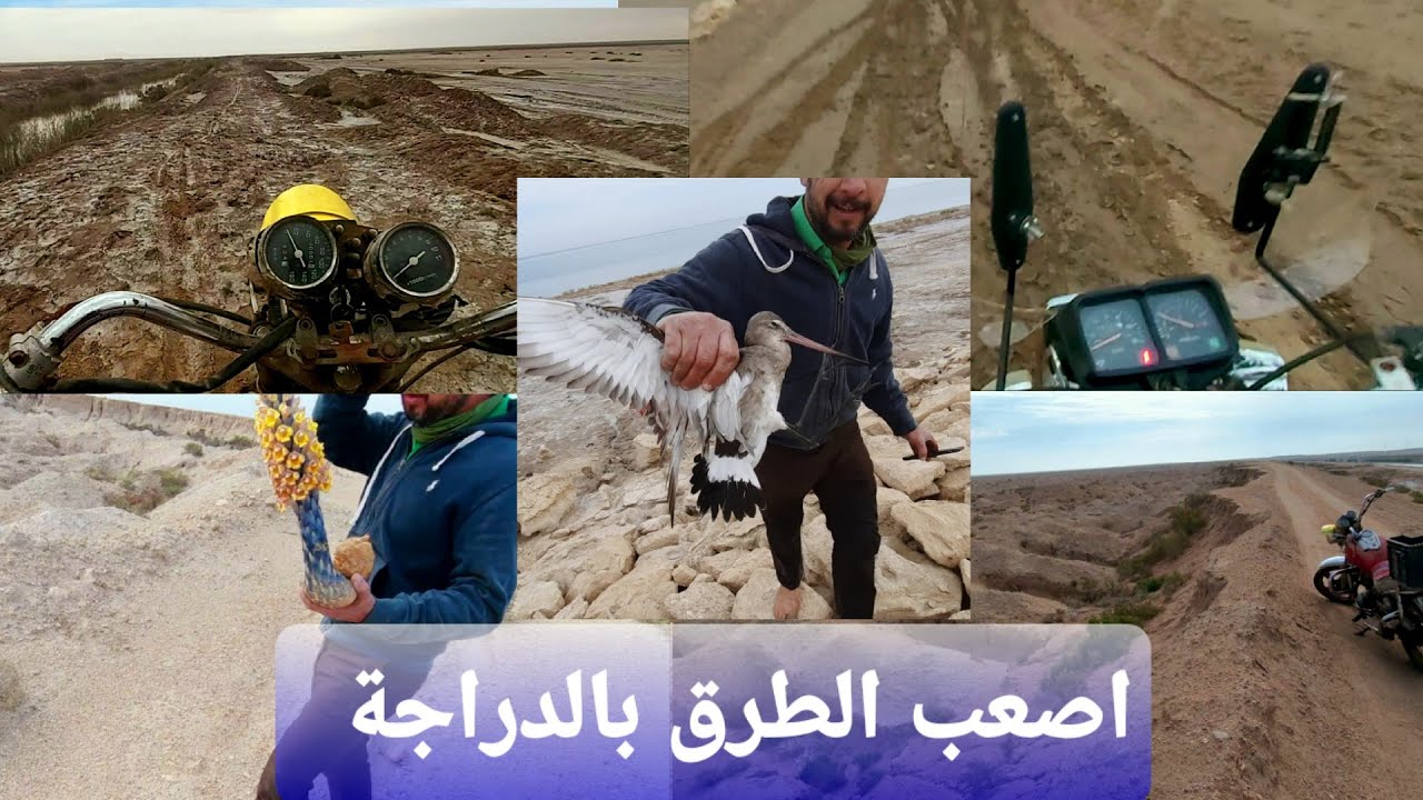 رحلة صيد الطيور والاسماك في بحيرة آل راشد بالاراضي الوعرة والطينية بواسطة الدراجات ٧٠كم عن الناصرية
