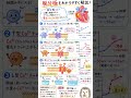 【2分で理解】脱分極とは?心臓の電気スイッチがONになる瞬間!