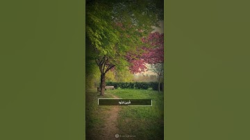 ﴿الذين آمنوا وعملوا الصالحات طوبى لهم وحسن مآب﴾ ||سورة الرعد|| بصوت القارئ محمد صديق المنشاوي