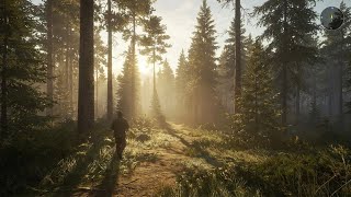 Morning Ambience: Walking Through the Taiga Forest - theHunter: Call of the Wild