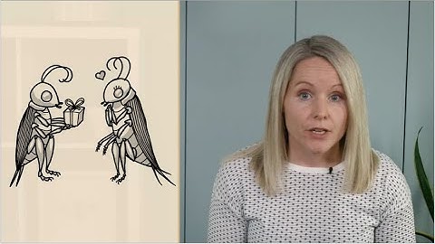 Insects courtship behaviour | insects mating facts | bio luminescence | entomology lectures | 03.03