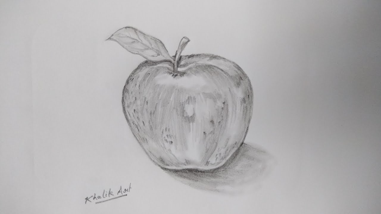 How To Draw Apple  Still life drawing  step by step  YouTube