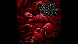 Cystic Dysentery - Born of Fire (Slayer cover)