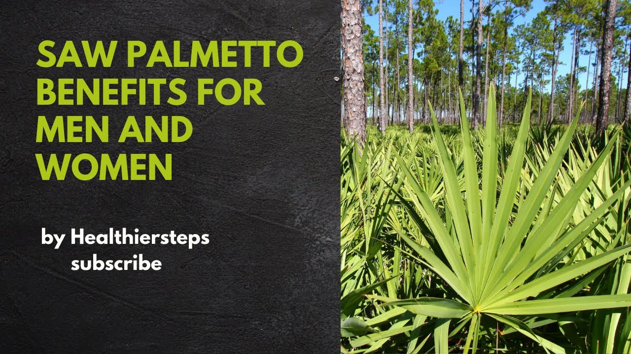 Discover the Untold Benefits of Saw Palmetto for Both Men and Women