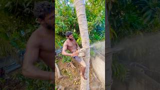 Tree#cutter#aravind#trending#kanyakumari8248851253