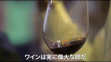 映画『戦地で生まれた奇跡のレバノンワイン』予告編