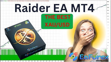Raider EA MT4 Review + Setting | EA Forex Store
