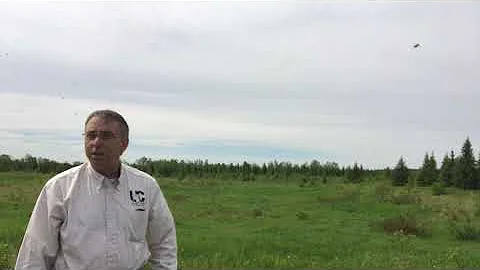 Christmas Tree Farm Homesite