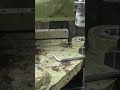 Jig Boring: Achieving 0.03mm Tolerance on M1dr Machine