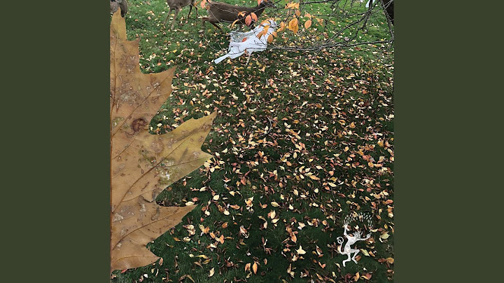 When Summer Turns to Fall