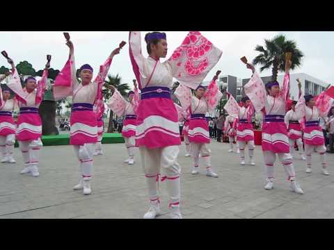 yosakoi-dance-festival-yokaze-(ソーラン,-よさこい)---japanese-traditional-dance