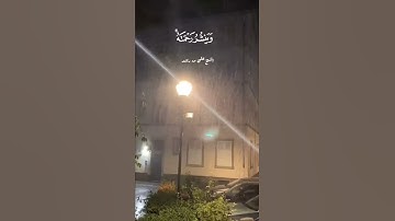 (وهو الذي ينزل الغيث من بعد ماقنطوا) تلاوة خاشعة تريح القلوب ❤ الشيخ علي بن راشد Quran