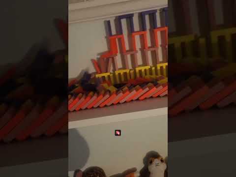 building dominoes for
