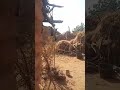 قوات من الشرطة من المساليت تهاجم العرب الرحل مدينة الجنينة بامر من والى ولاية غرب دارفور قوات من الشرطة من المساليت تهاجم العرب الرحل مدينة الجنينة بامر من والى ولاية غرب دارفور