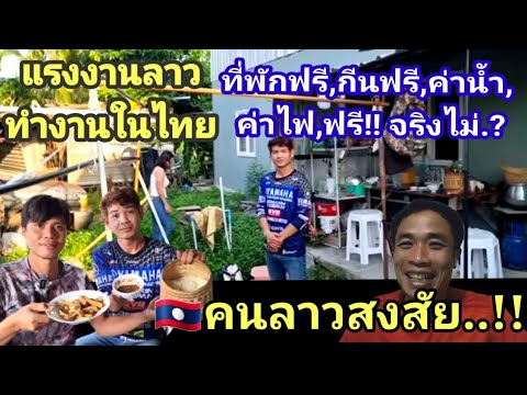 ผลสลากกินแบ่งรัฐบาล วันที่ 1 พย. 2567 ผลสลากกินแบ่งรัฐบาล วันที่ 1 พย. 2567