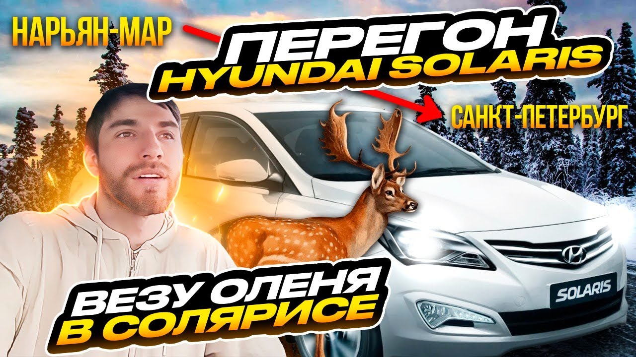 Элит авто нарьян мар