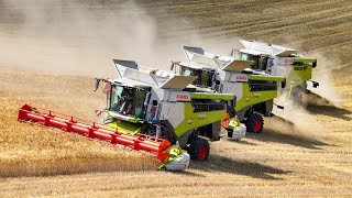 3x Claas Lexion Combine  Massey Ferguson 7624 U0026 Gstrower Gtu 25  Harvest In Slovakia