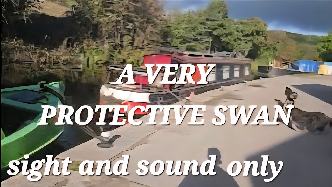 Canal walk/treadmill 