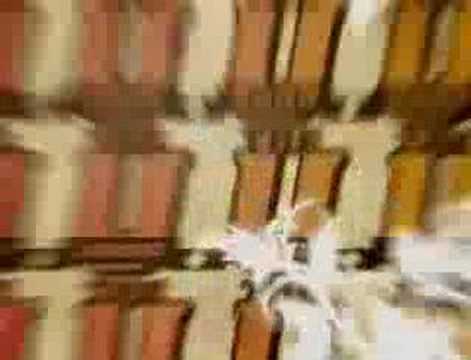 theU.com - Dartmouth: "The Crowd"